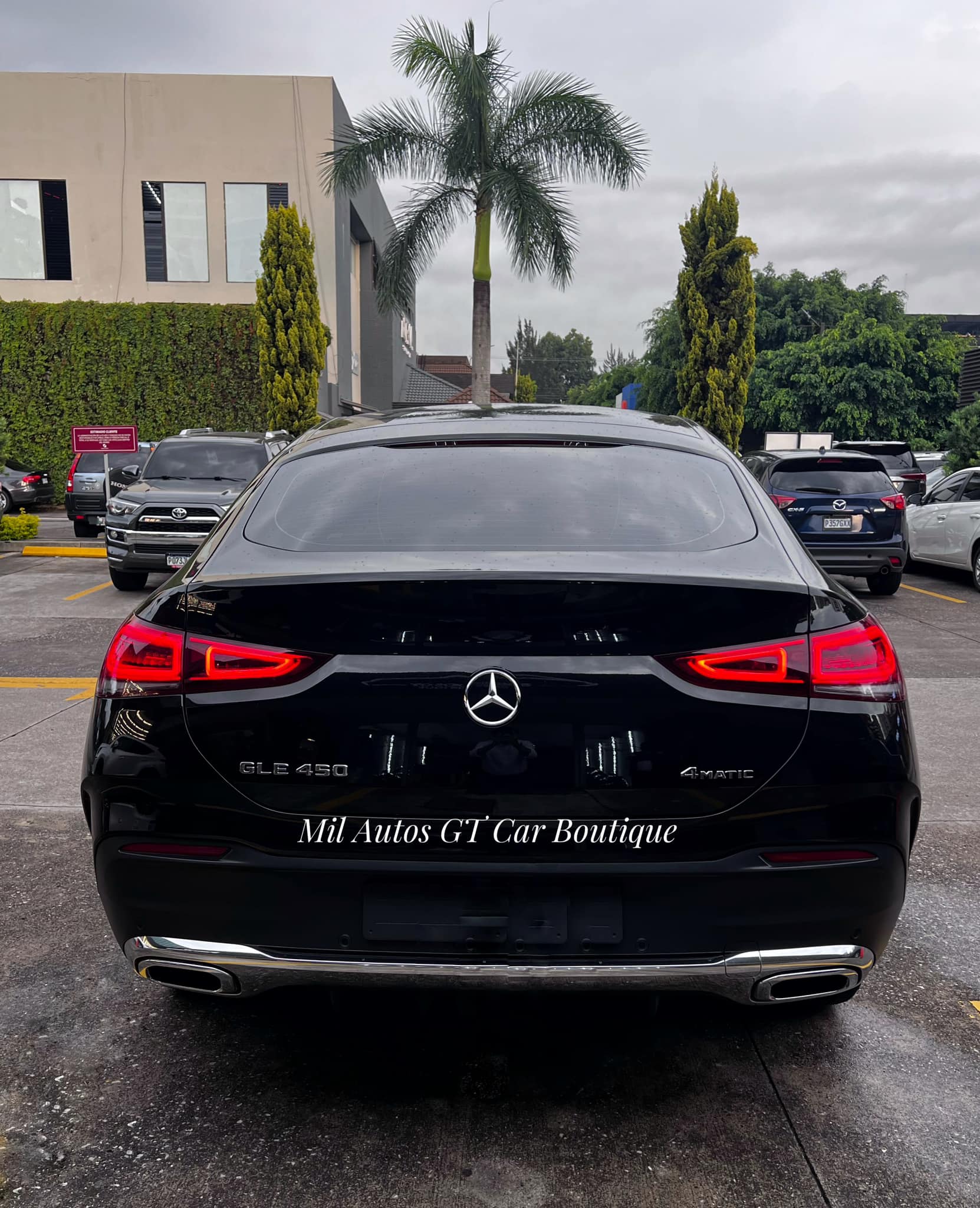 Mercedes Benz (2)