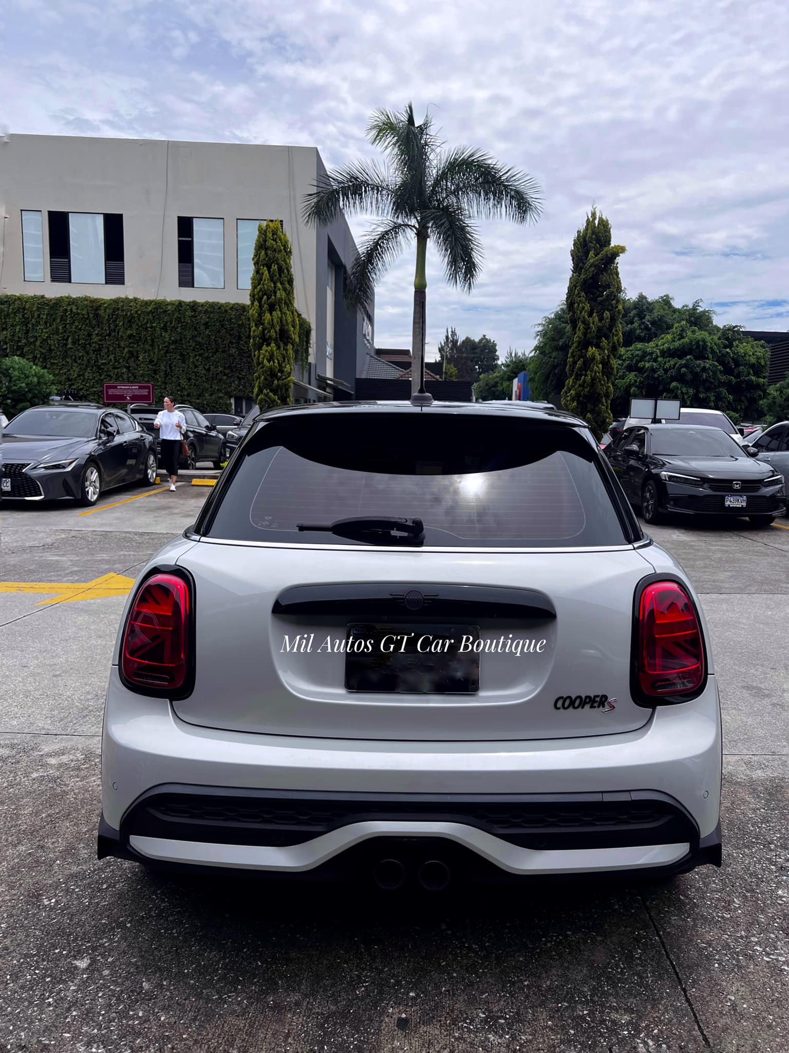Mini (7)