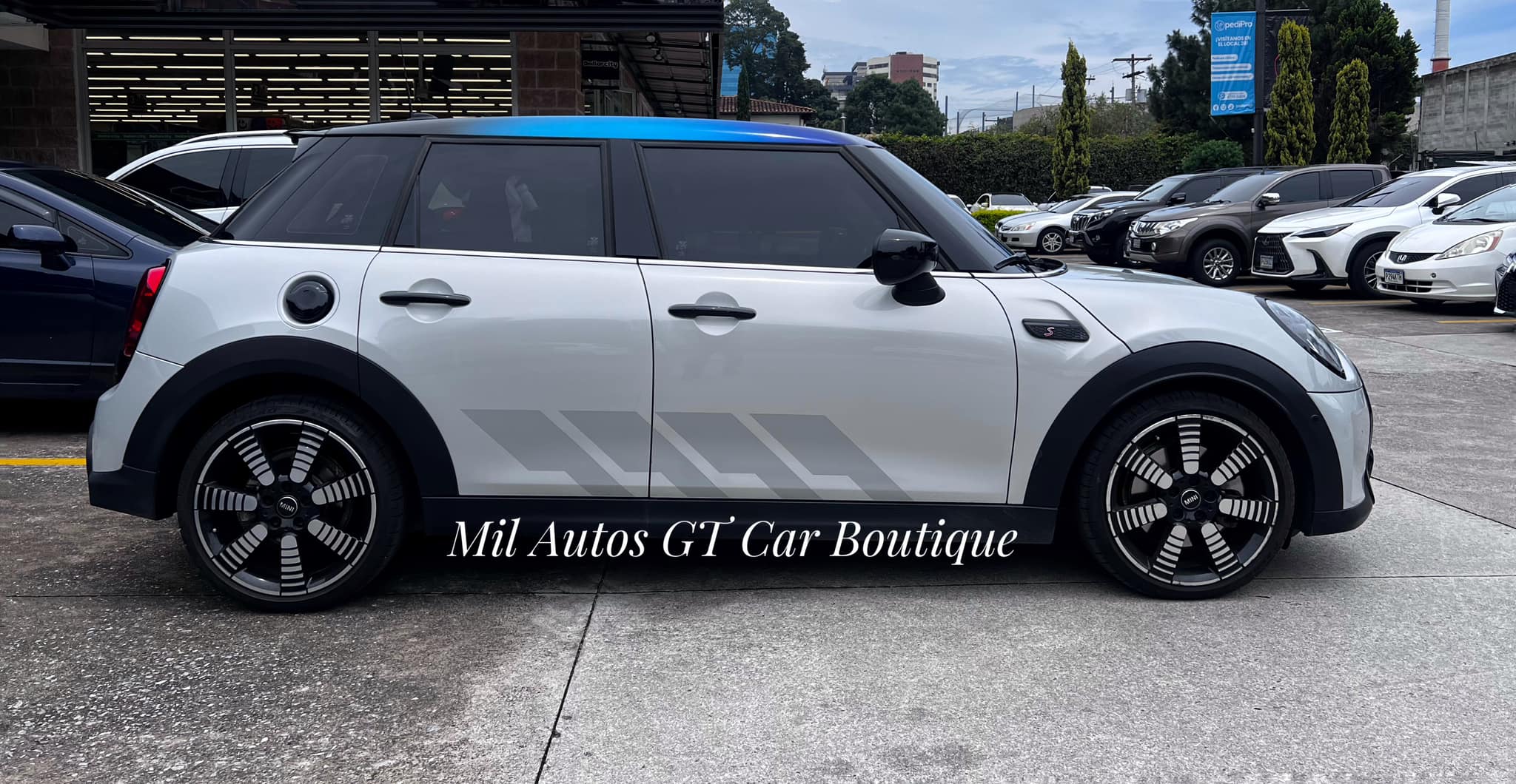 Mini (8)