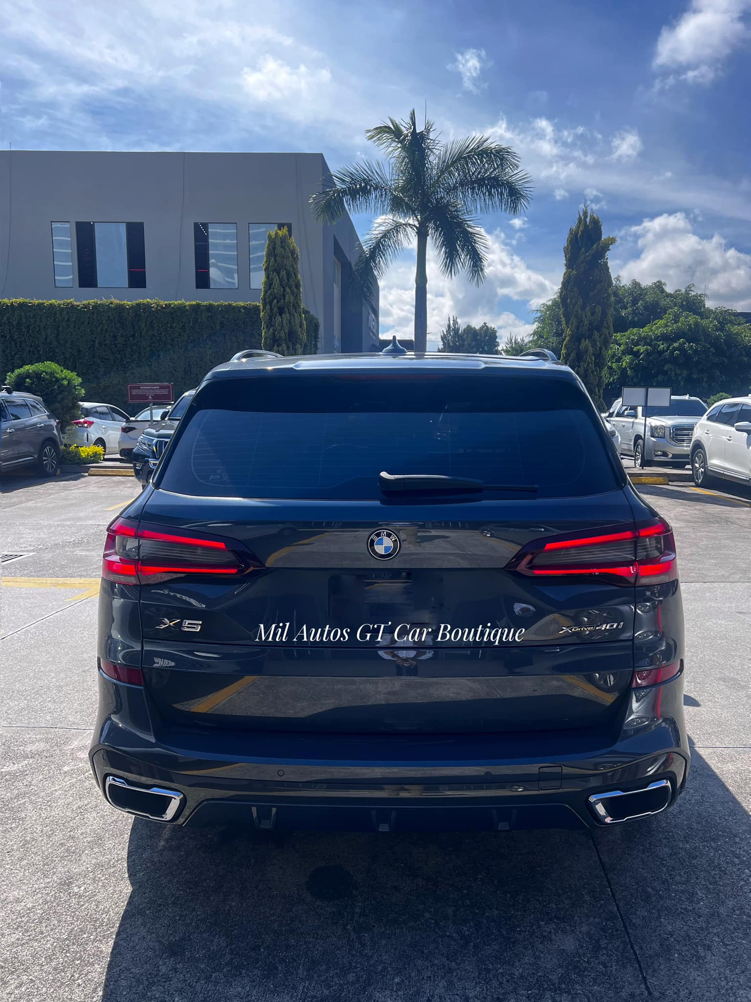 bmwx5 (11)