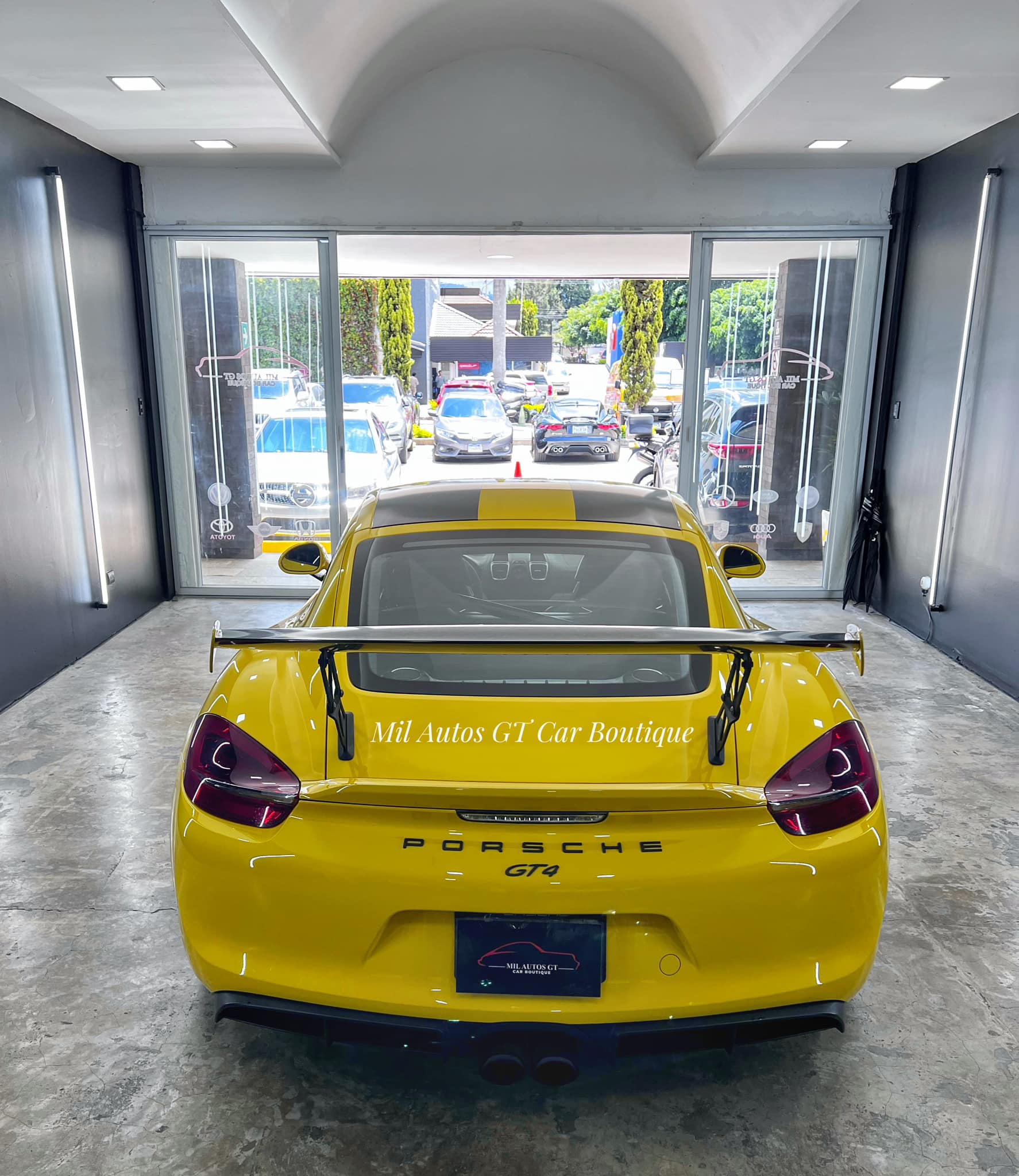 porsche (11)