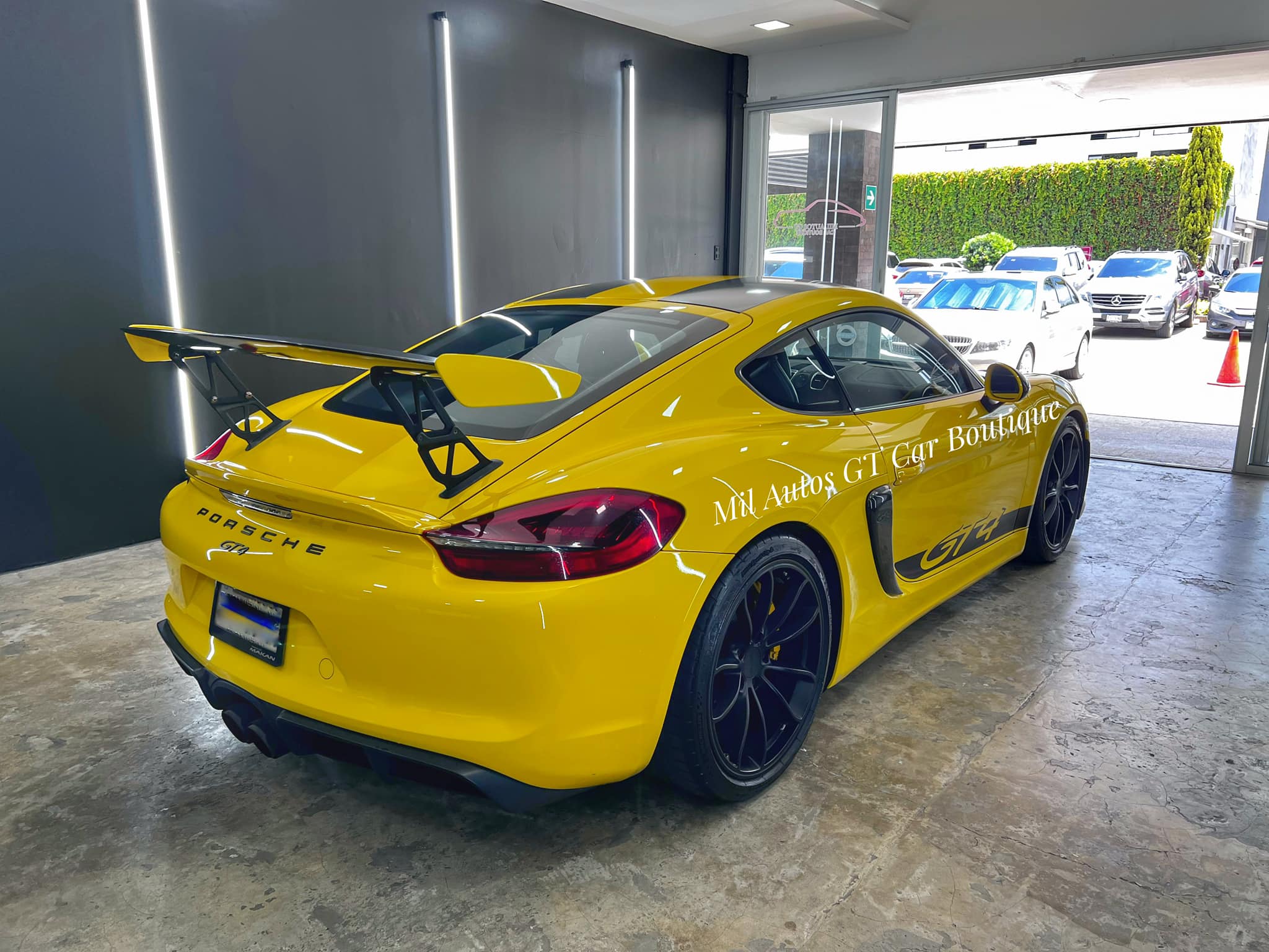 porsche (4)