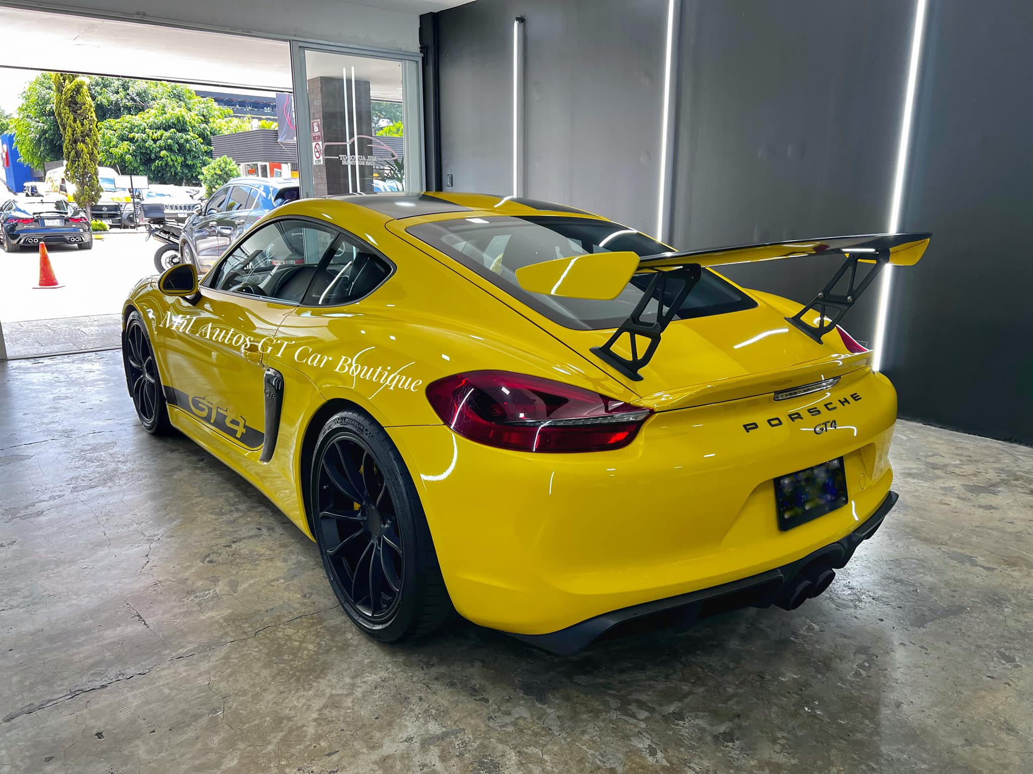 porsche (9)