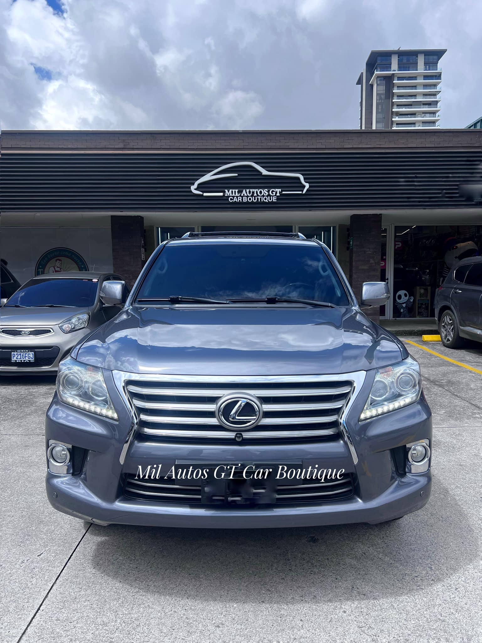 Lexus (15)