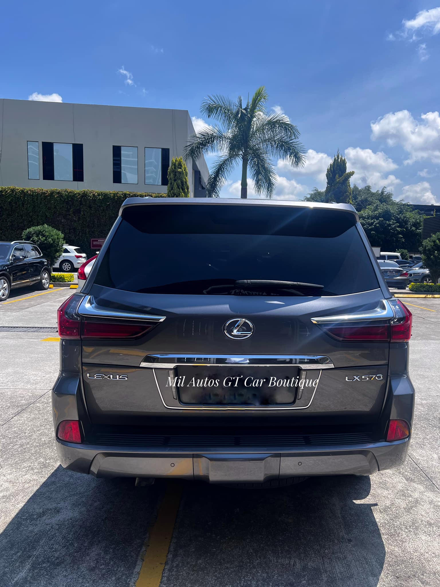 Lexus (5)