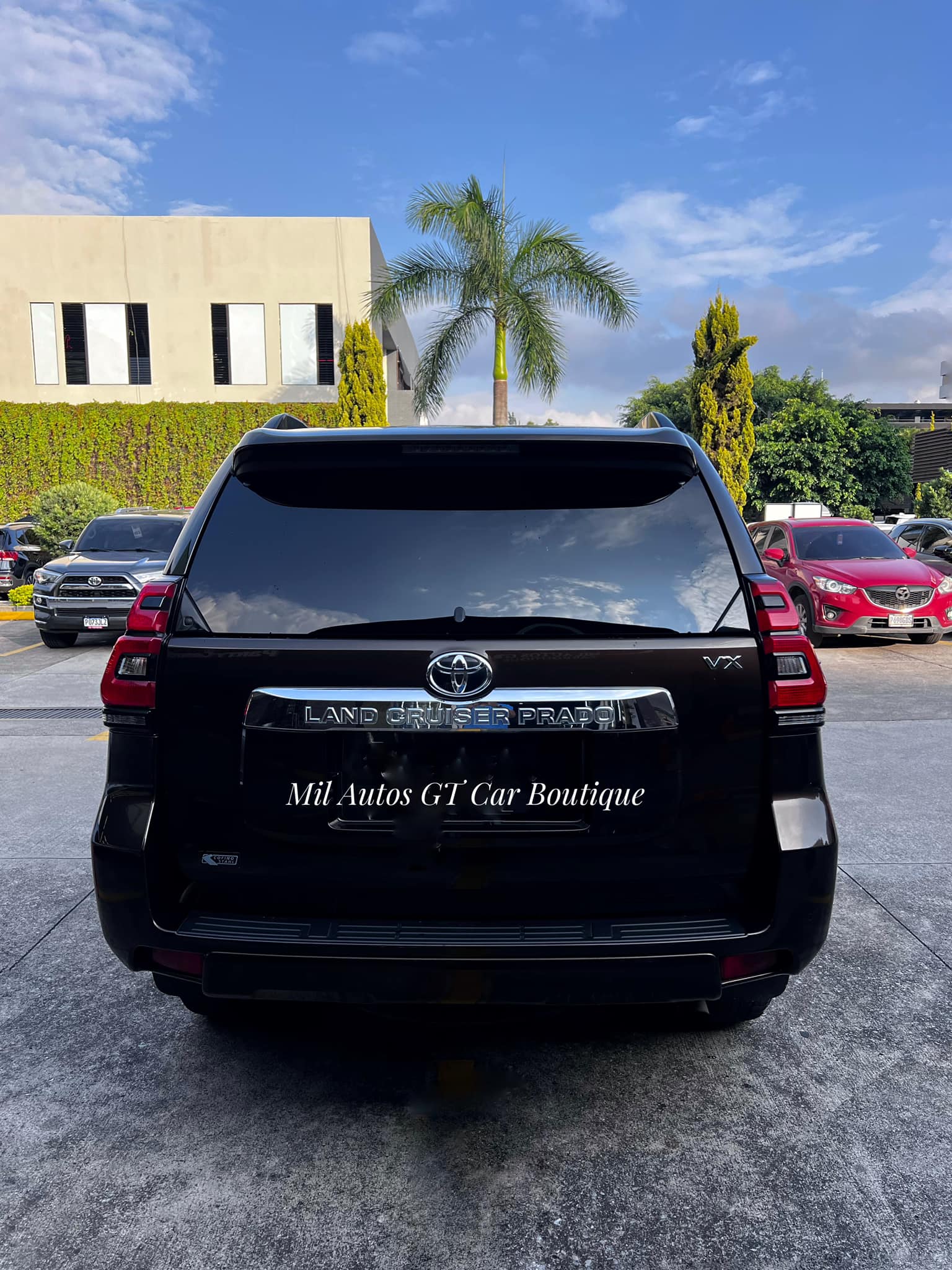 Toyota prado (10)