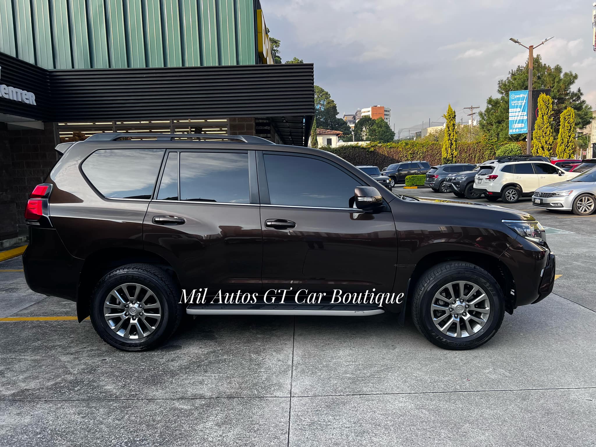 Toyota prado (5)