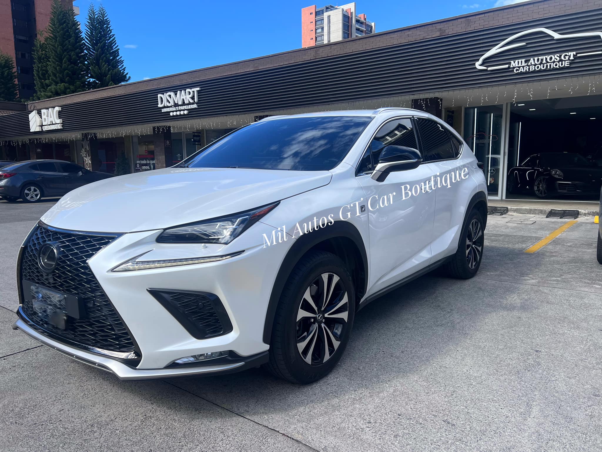 Lexus nx 300