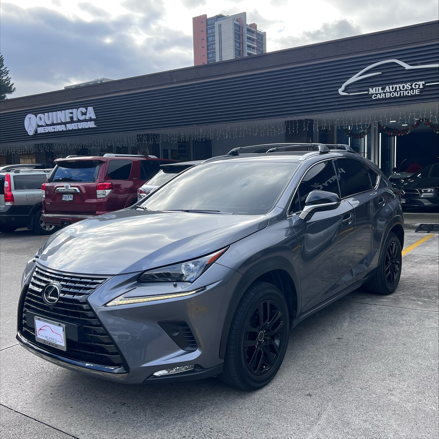 Lexus nx 300
