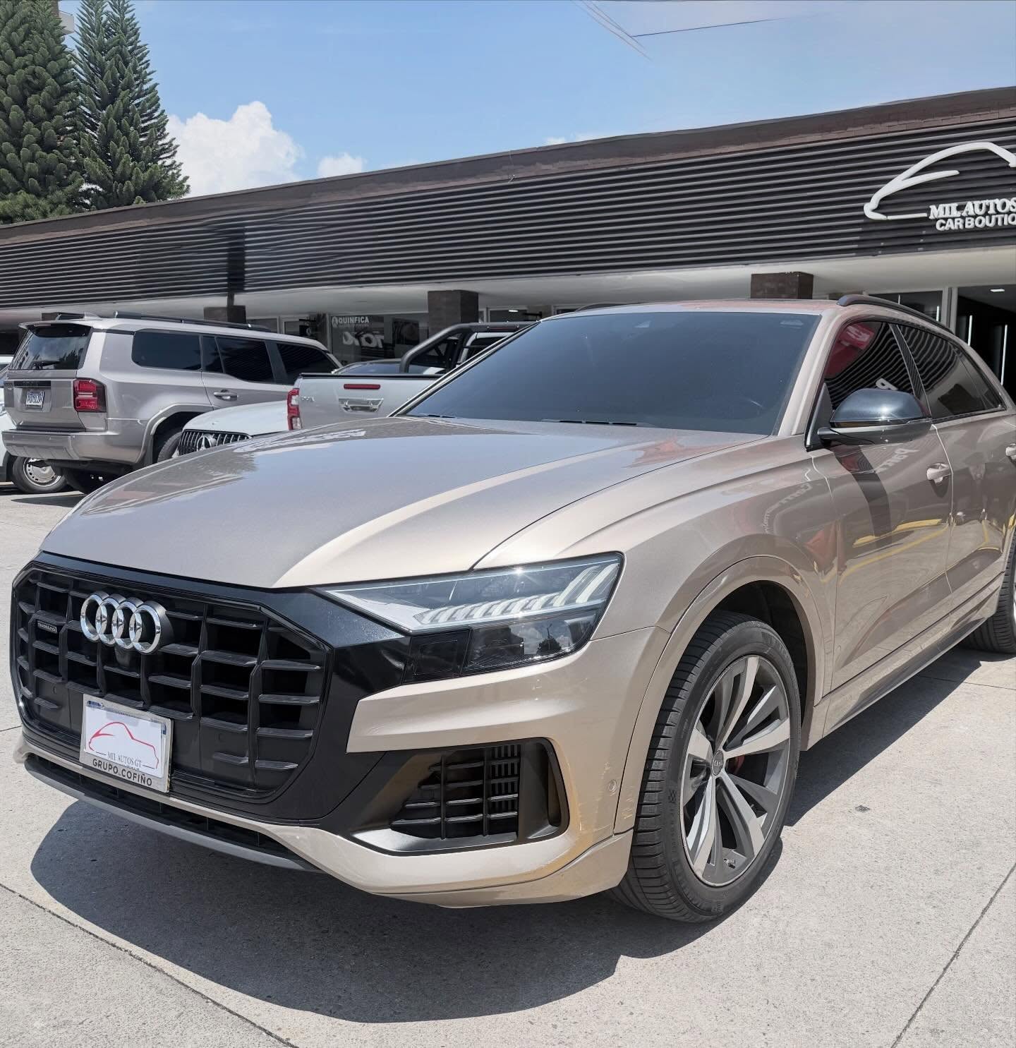 Audi Q8